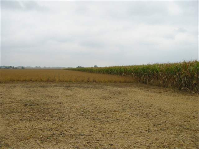 65 Rr 1 Wyoming, IL 61491 - Photo 1 of 3 Gallery Image 1
