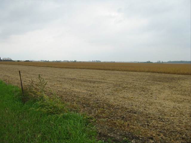 65 Rr 1 Wyoming, IL 61491 - Photo 2 of 3 Gallery Image 2