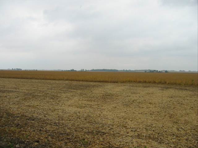 65 Rr 1 Wyoming, IL 61491 - Photo 3 of 3 Gallery Image 3