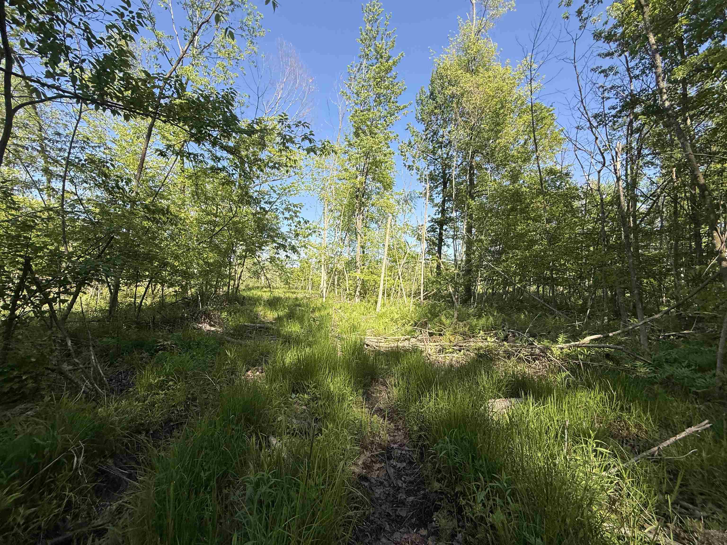 N5610 Resort Road Bonduel, WI 54107 - Photo 13 of 13