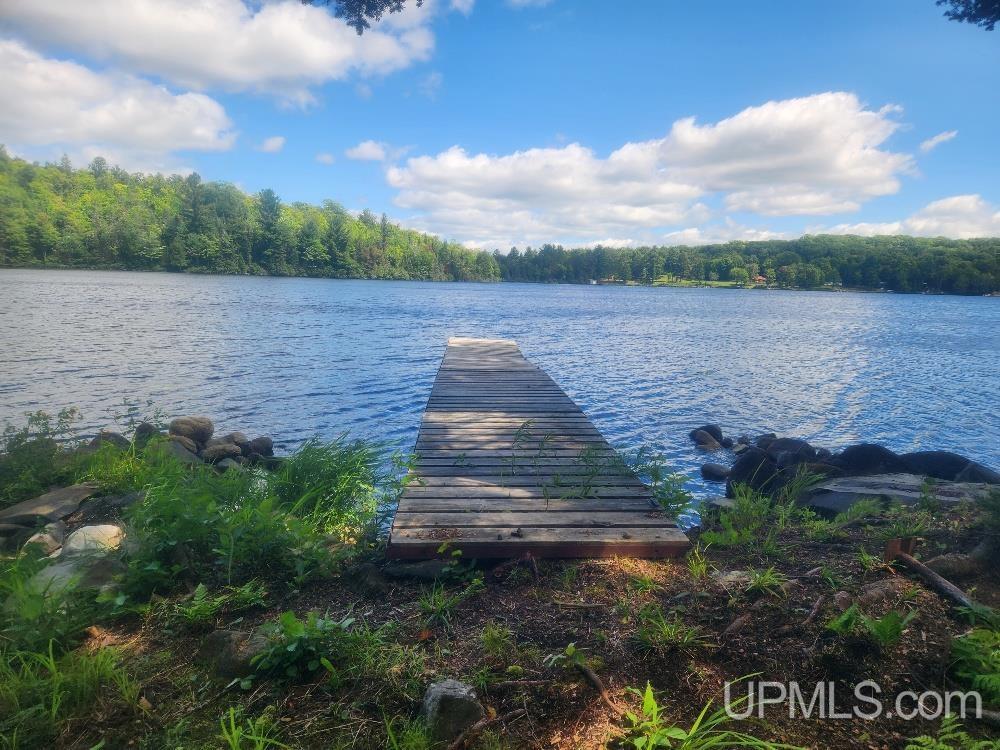 Tbd West Tamarack Lake Road, Unit LOT 5 Watersmeet, MI 49969 - Photo 48 of 66
