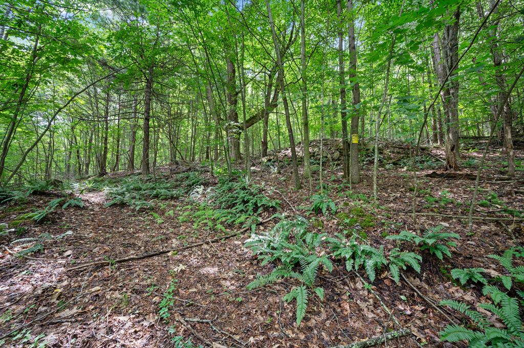 Lot G Springdale Road, Unit G Pearisburg, VA 24134 - Photo 37 of 62 Gallery Image 37