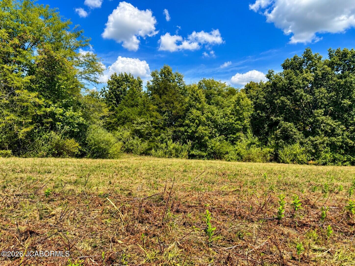 3 4.24 Ac County Road Holts Summit, MO 65043 - Photo 6 of 7 Gallery Image 6