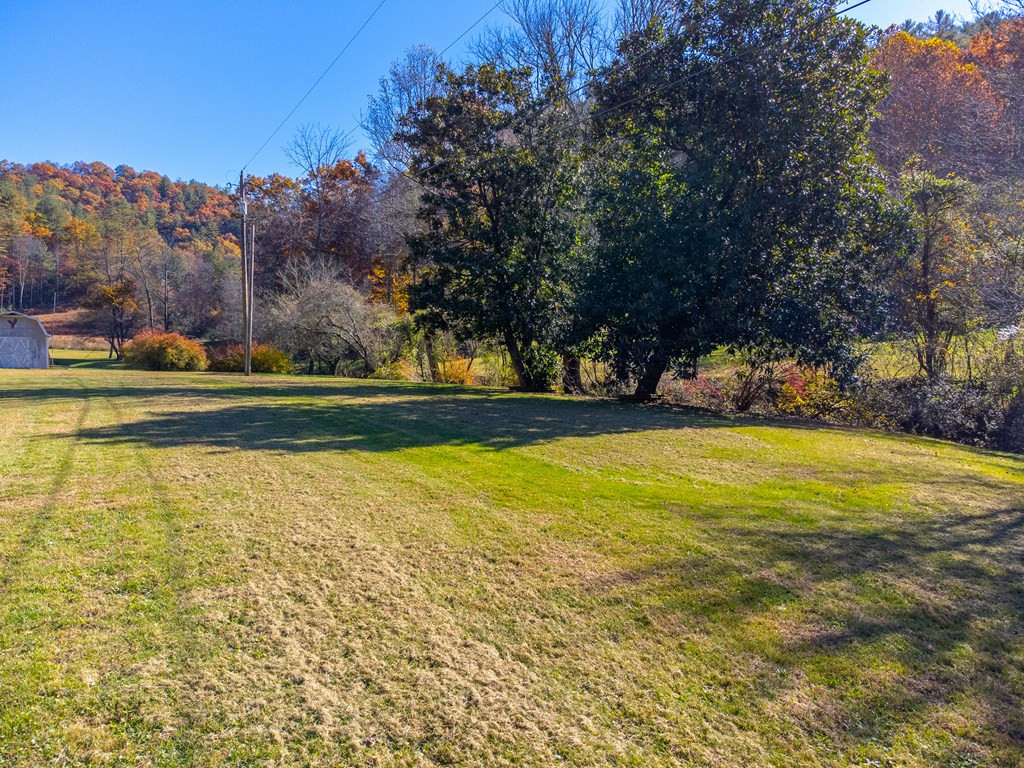 59 Poison Branch Road Robbinsville, NC 28771 - Photo 38 of 58 Gallery Image 38