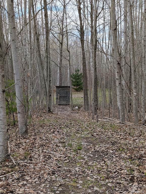 2889 Mill Station Road Hale, MI 48739 - Photo 26 of 33