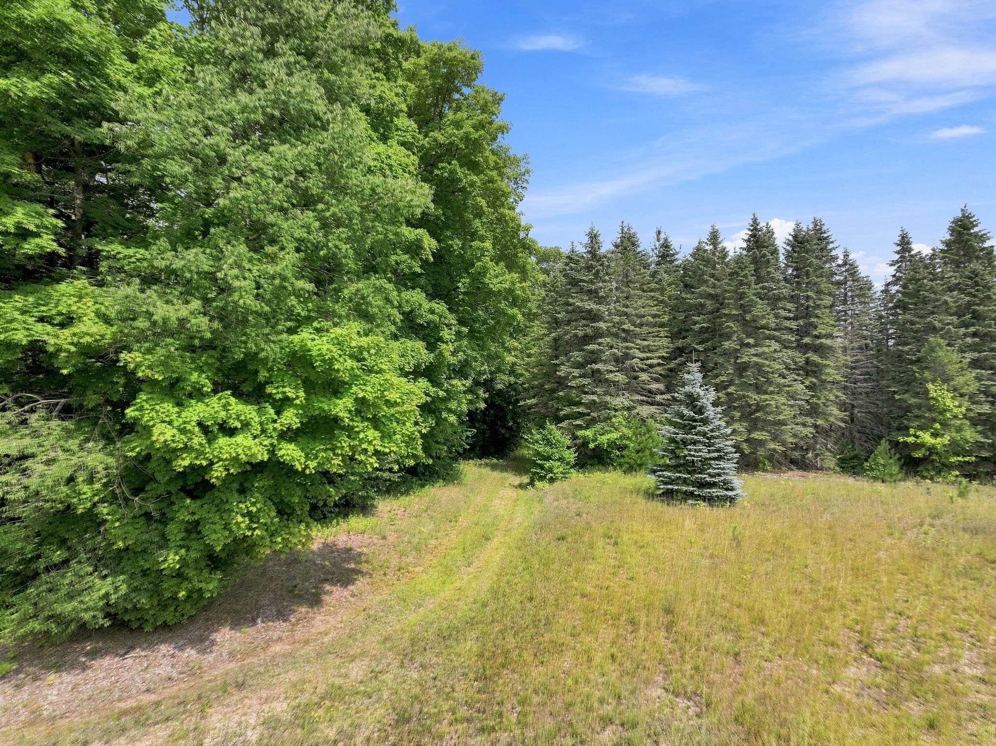 275 South 35 Road Cadillac, MI 49601 - Photo 6 of 47 1949376-ae105f90-49d8-4404-a7df-d648910fe692.JPG