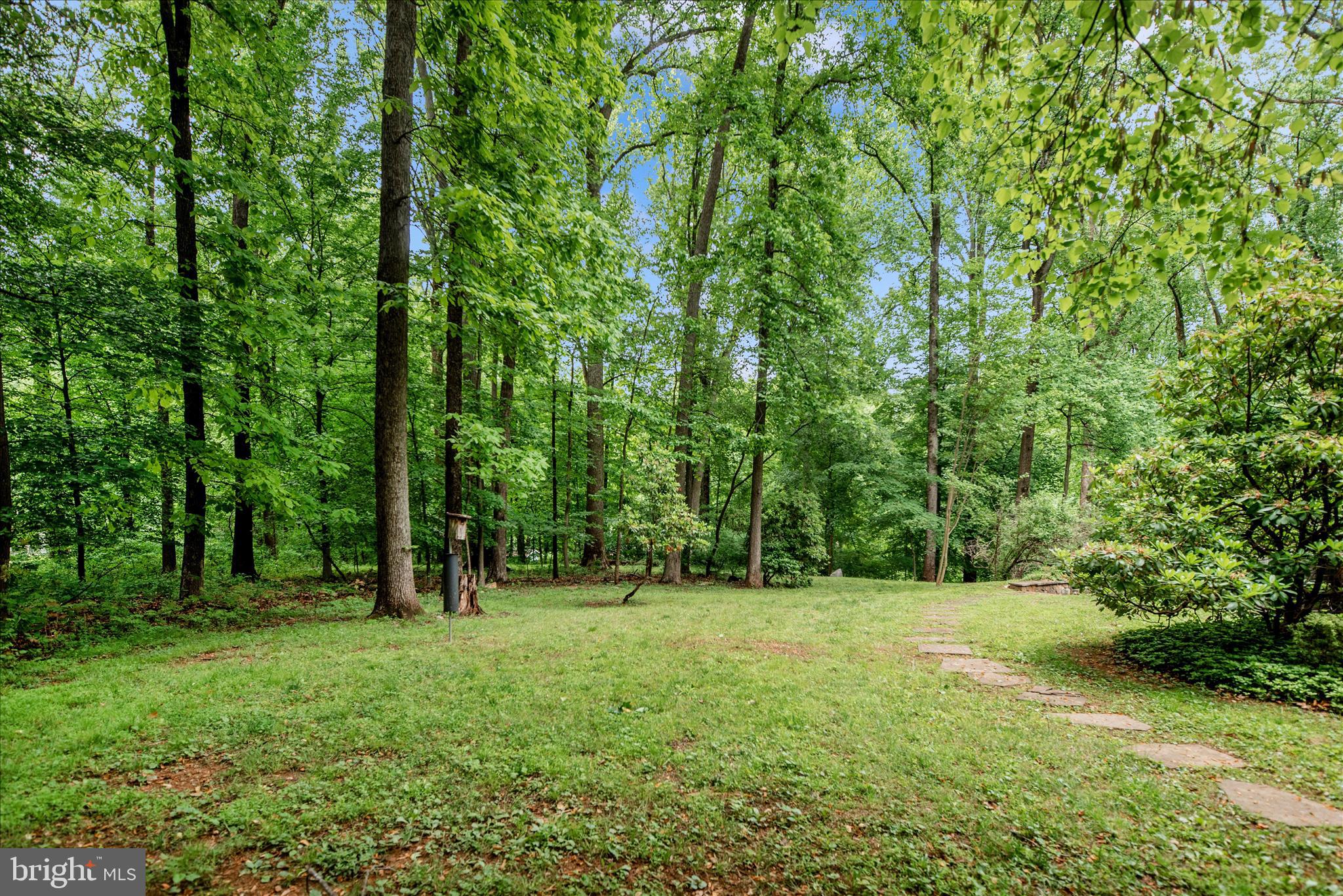 2221 Gold Mine Road Brookeville, MD 20833 - Photo 53 of 60 a view of outdoor space with green field and trees