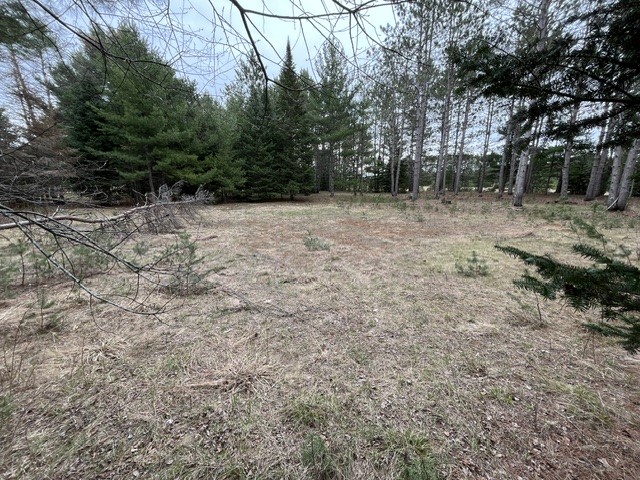 9868 Autumn Moon Road Hayward, WI 54843 - Photo 11 of 13