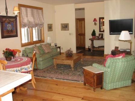 10 Valley View Road Telluride, CO 81435 - Photo 10 of 12 Family Room