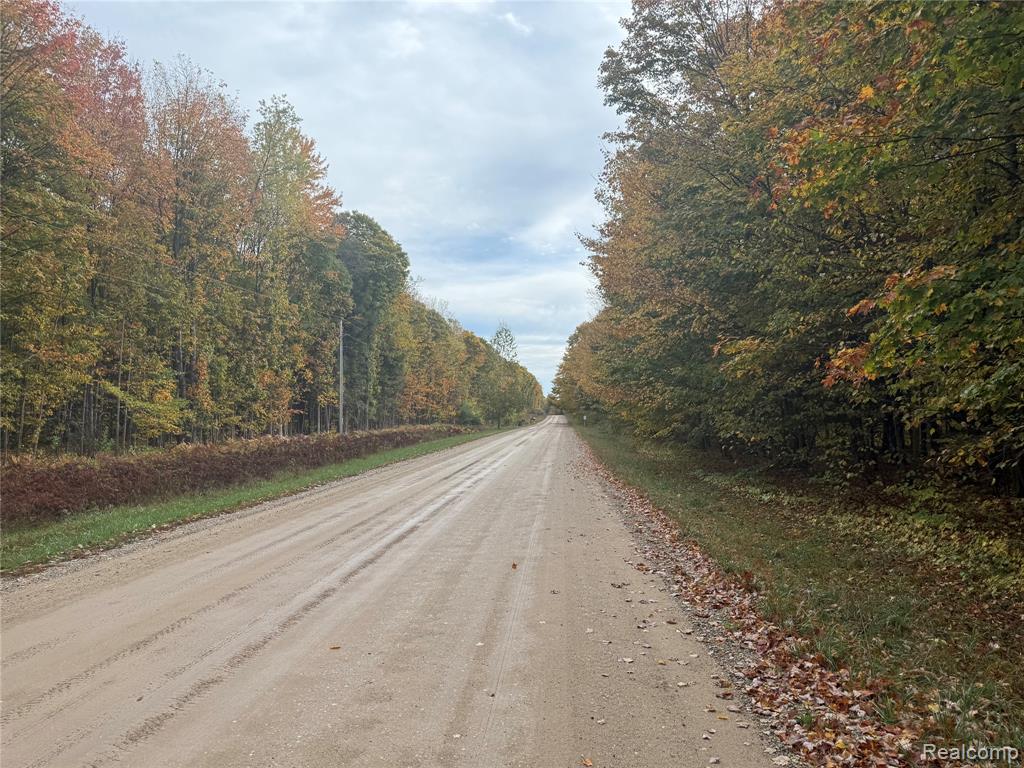207 Wallace Road Northeast Alden, MI 49612 - Photo 4 of 7