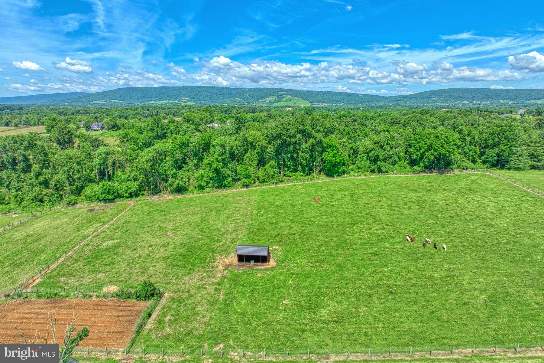 19012 Airmont Road Purcellville, VA 20132 - Photo 50 of 60 Gallery Image 50