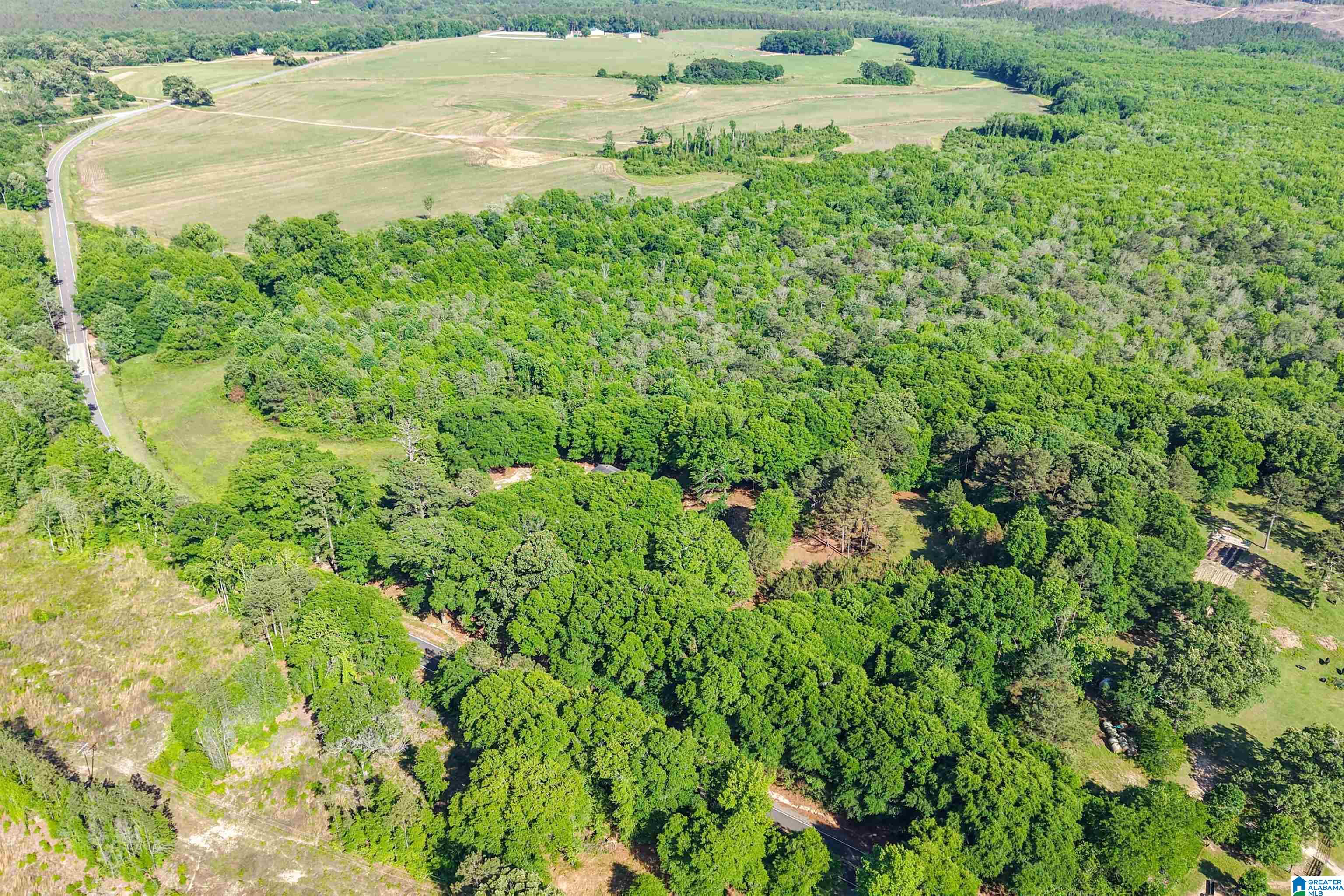 15038 Northside Road Northport, AL 35475 - Photo 43 of 62