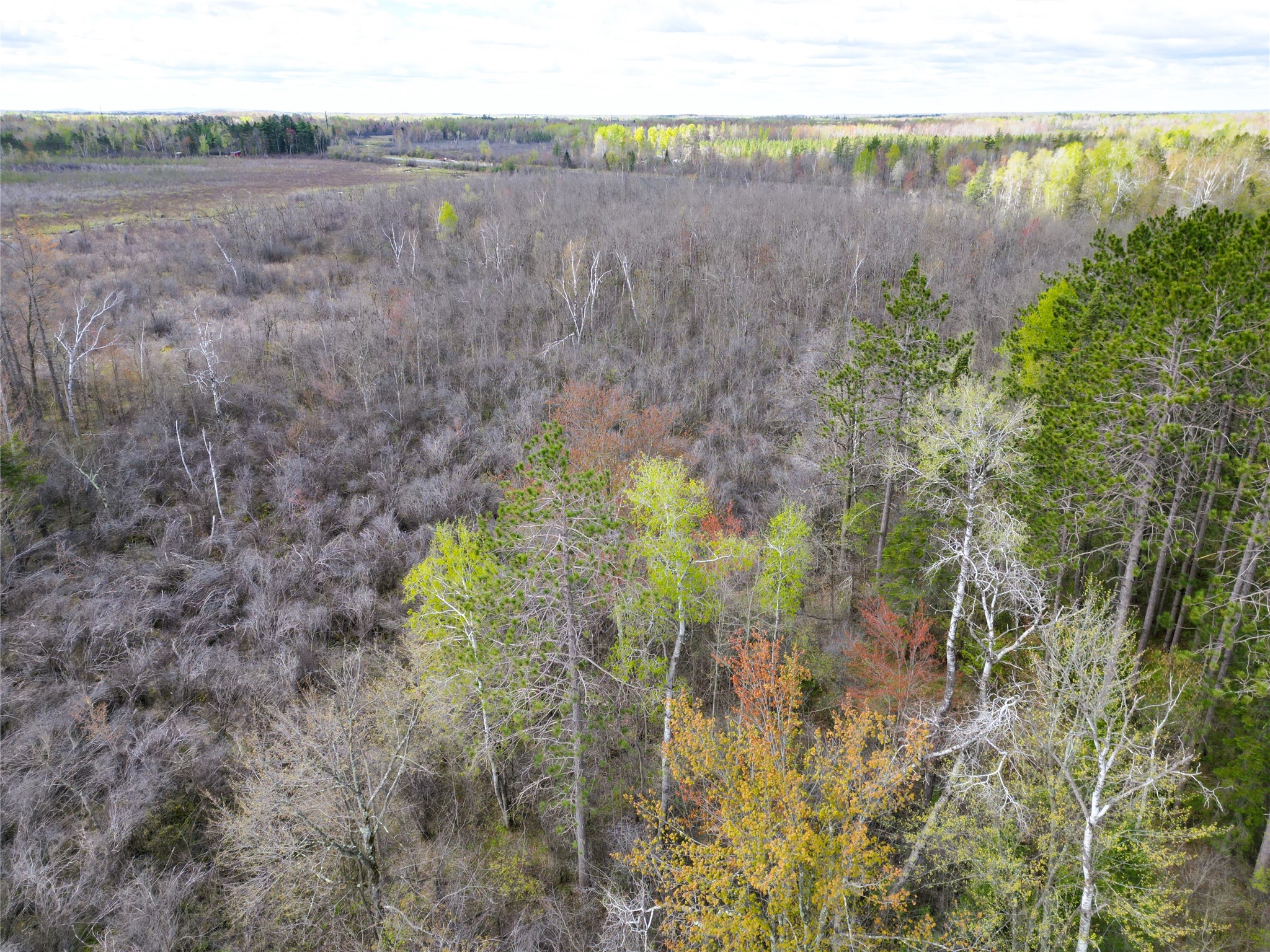 36.5-acres East Cedarbrook Road Ladysmith, WI 54848 - Photo 8 of 18