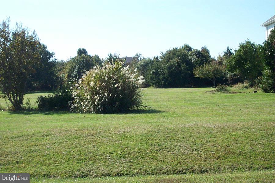117 Chews Manor Road Stevensville, MD 21666 - Photo 23 of 23 View