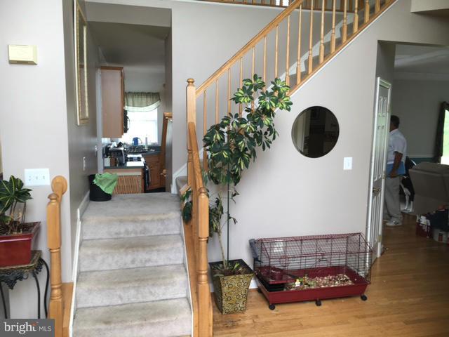 117 Chews Manor Road Stevensville, MD 21666 - Photo 6 of 23 Interior (General)