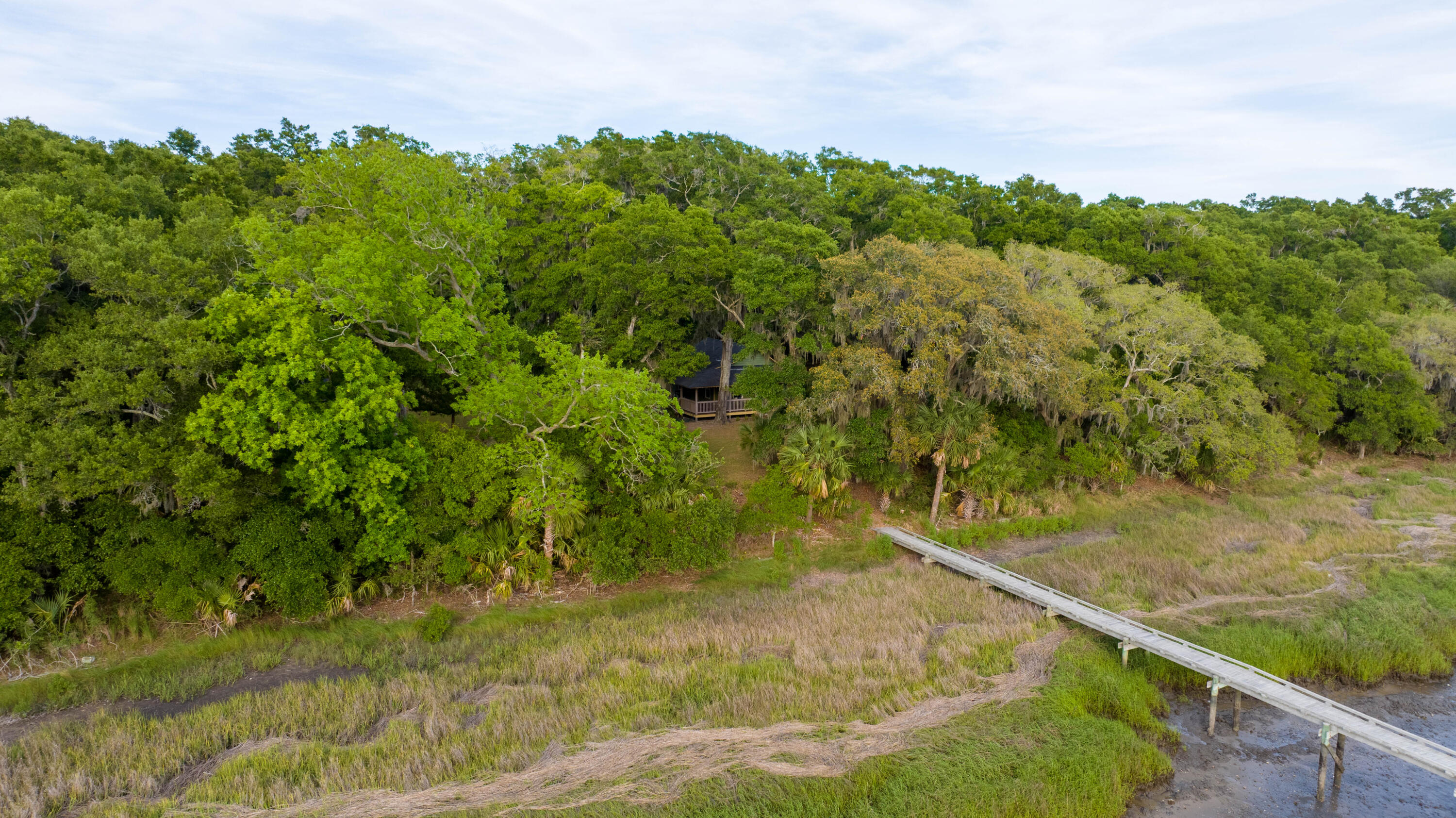 0 Baldwin Lane Green Pond, SC 29446 - Photo 95 of 116