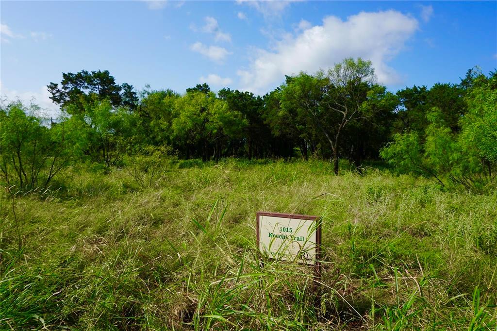1015 Keechi Trail Graford, TX 76449 - Photo 5 of 13