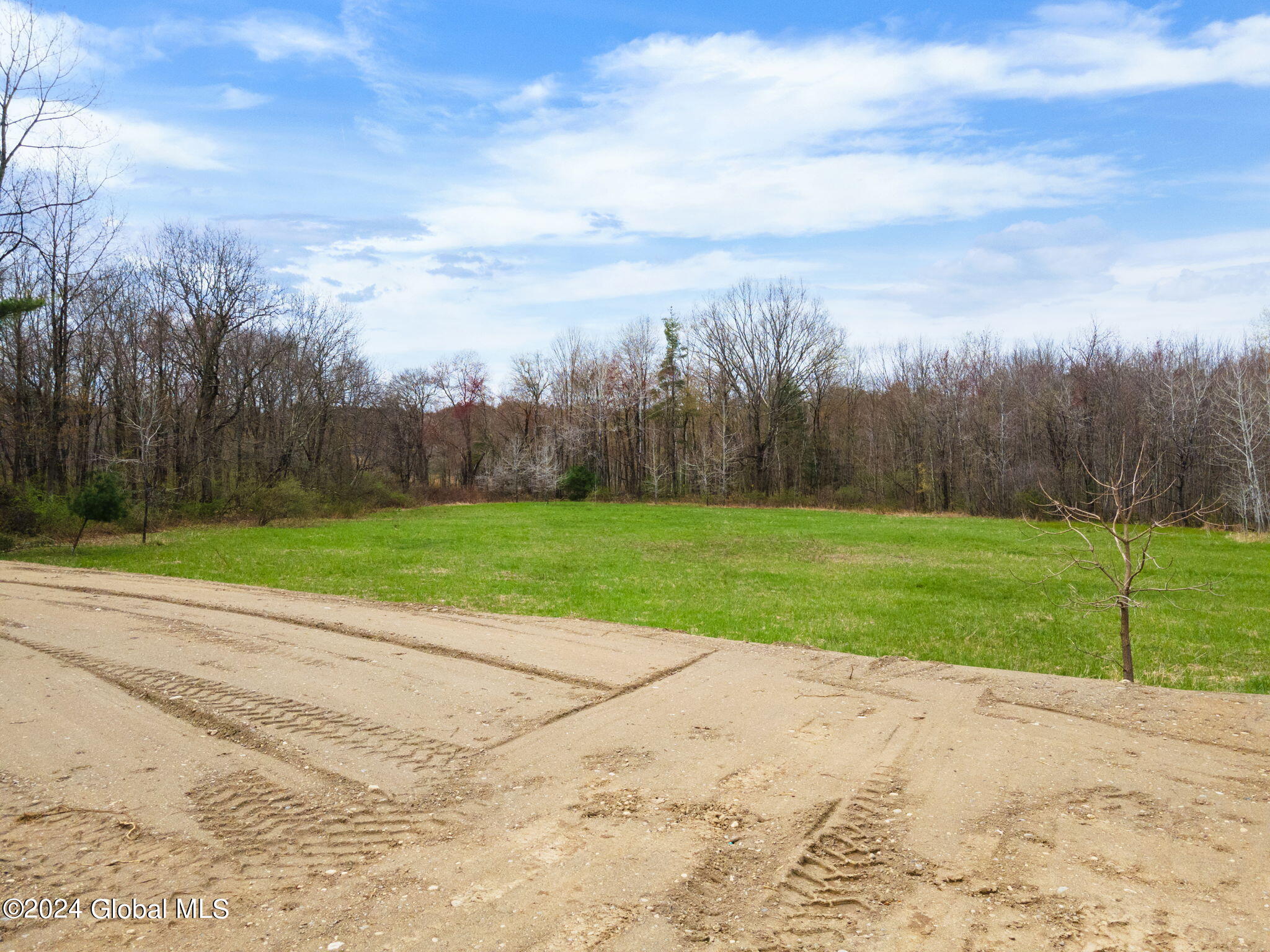 181 Springer Road Sand Lake, NY 12196 - Photo 4 of 9 2-web-or-mls-181SpringerRd_02