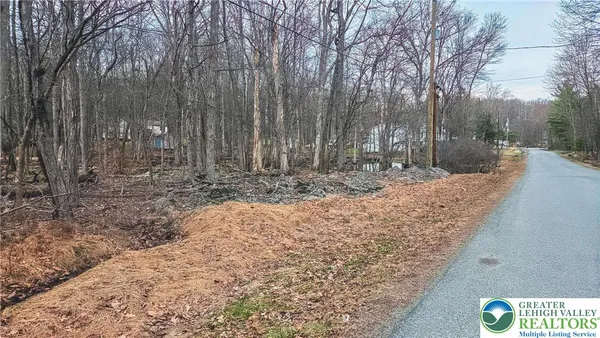 a view of a backyard with large trees