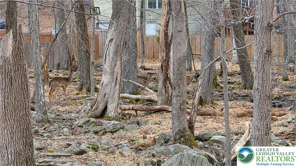 a view of a row of trees