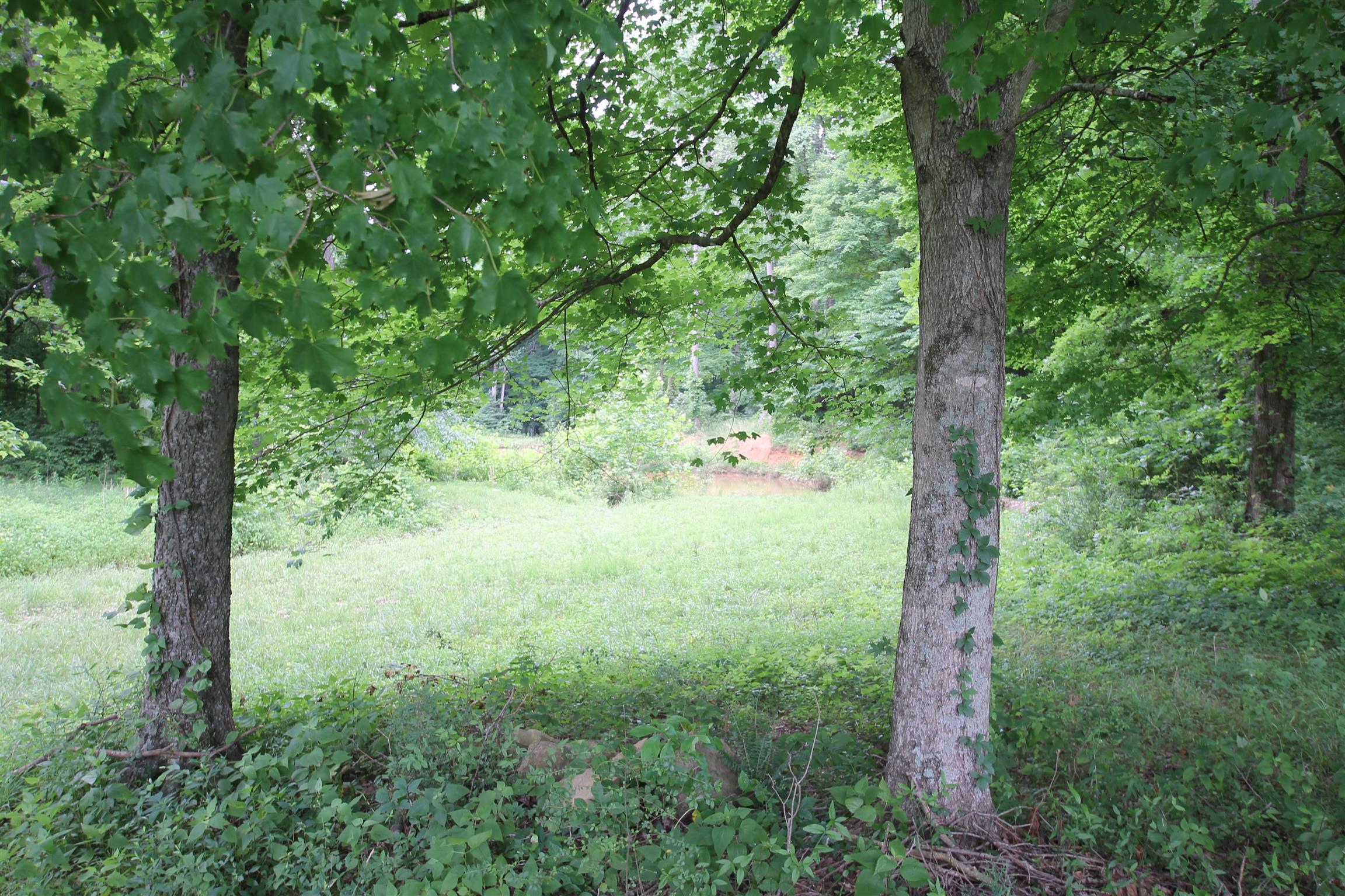 3070 York Road Pleasant View, TN 37146 - Photo 11 of 19 a view of a yard with a tree