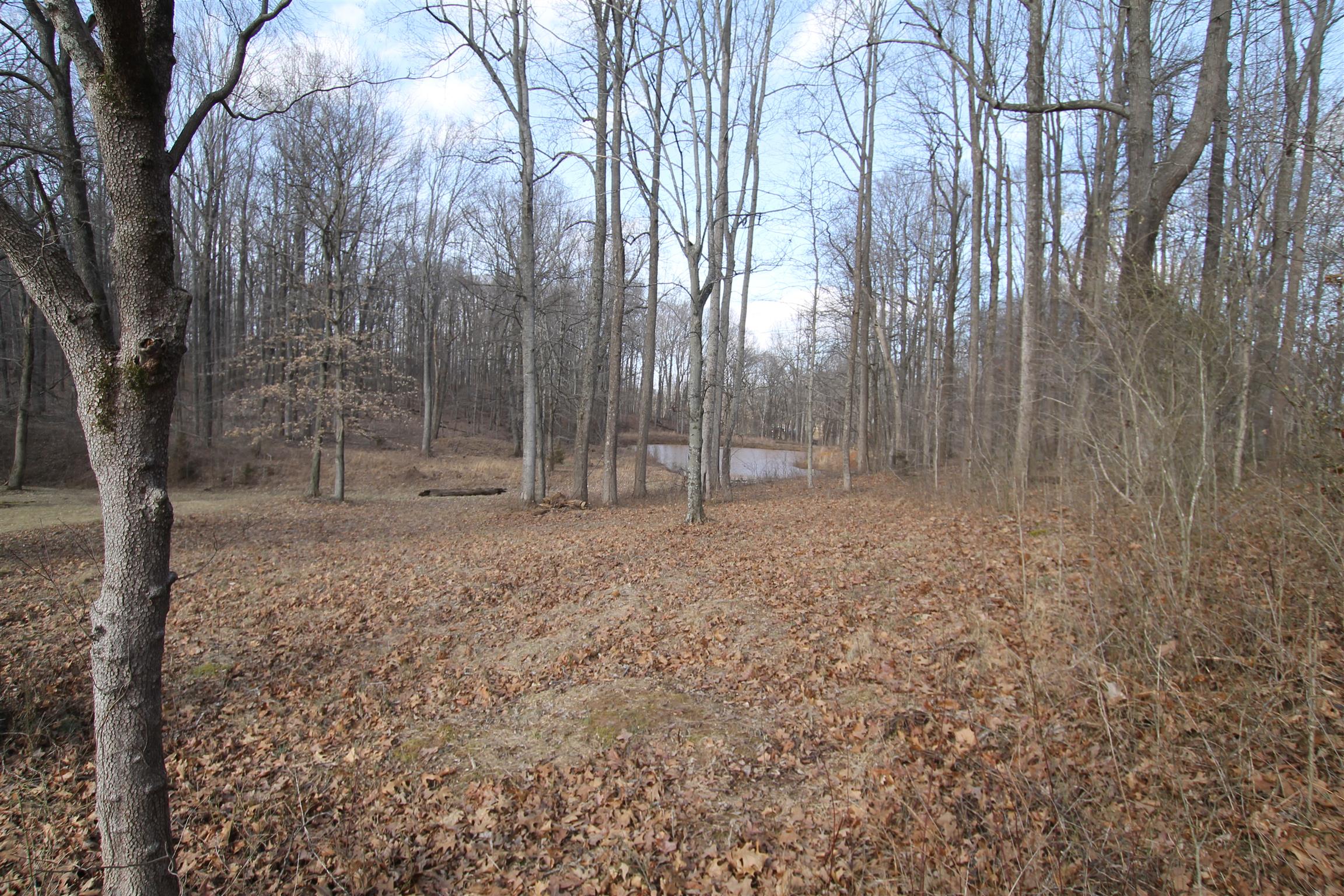 3070 York Road Pleasant View, TN 37146 - Photo 13 of 19 a view of outdoor space with trees