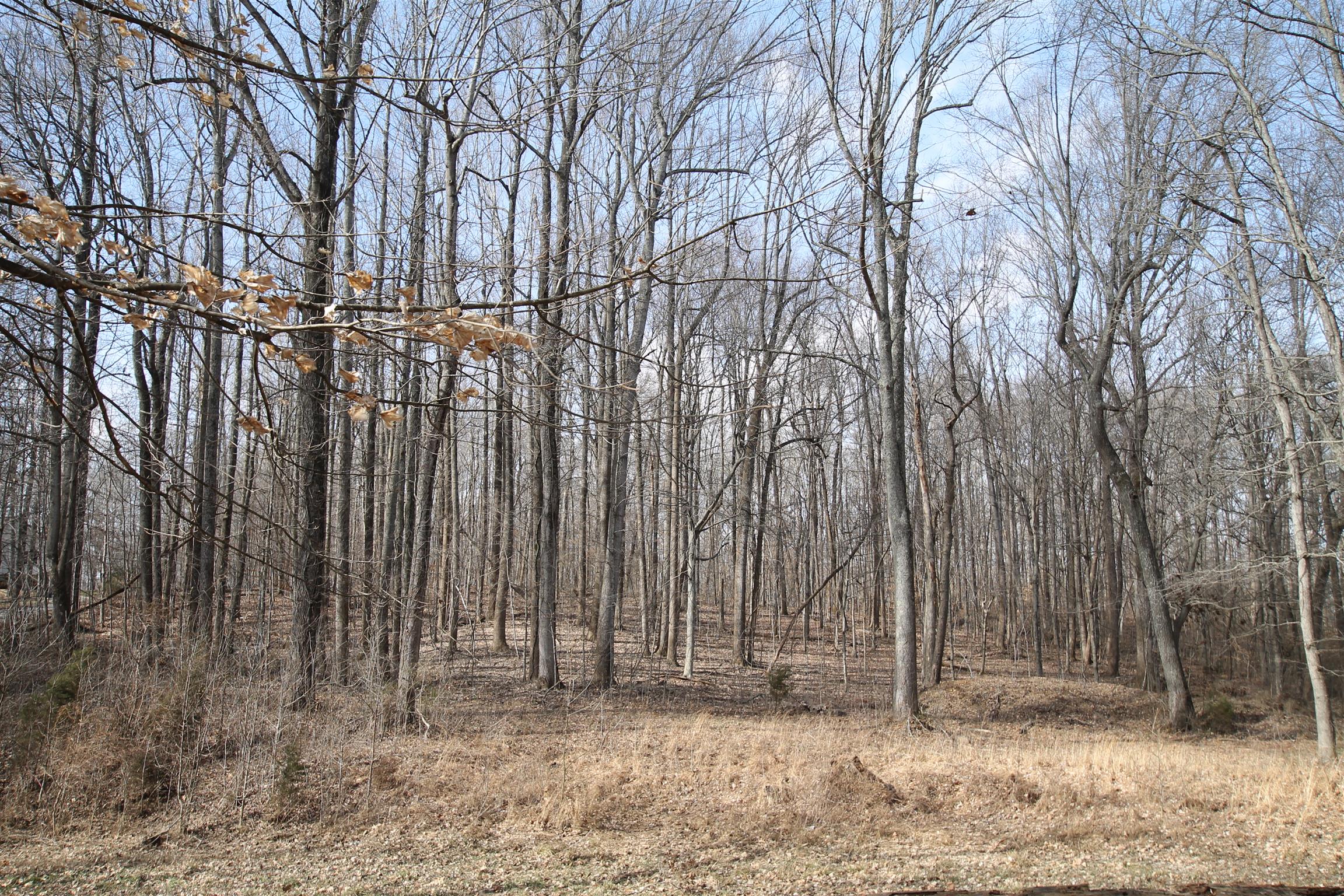 3070 York Road Pleasant View, TN 37146 - Photo 15 of 19 a backyard of a house with lots of trees