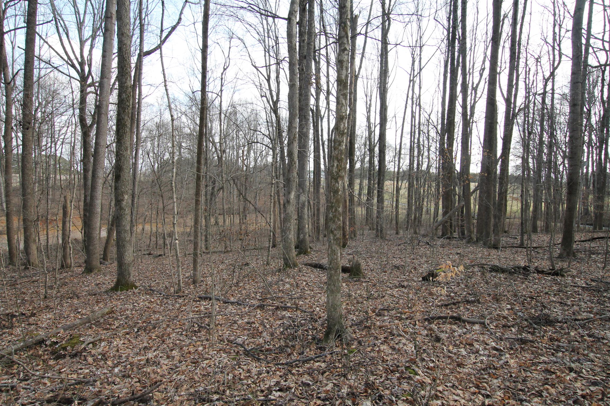 3070 York Road Pleasant View, TN 37146 - Photo 16 of 19 a view of a backyard