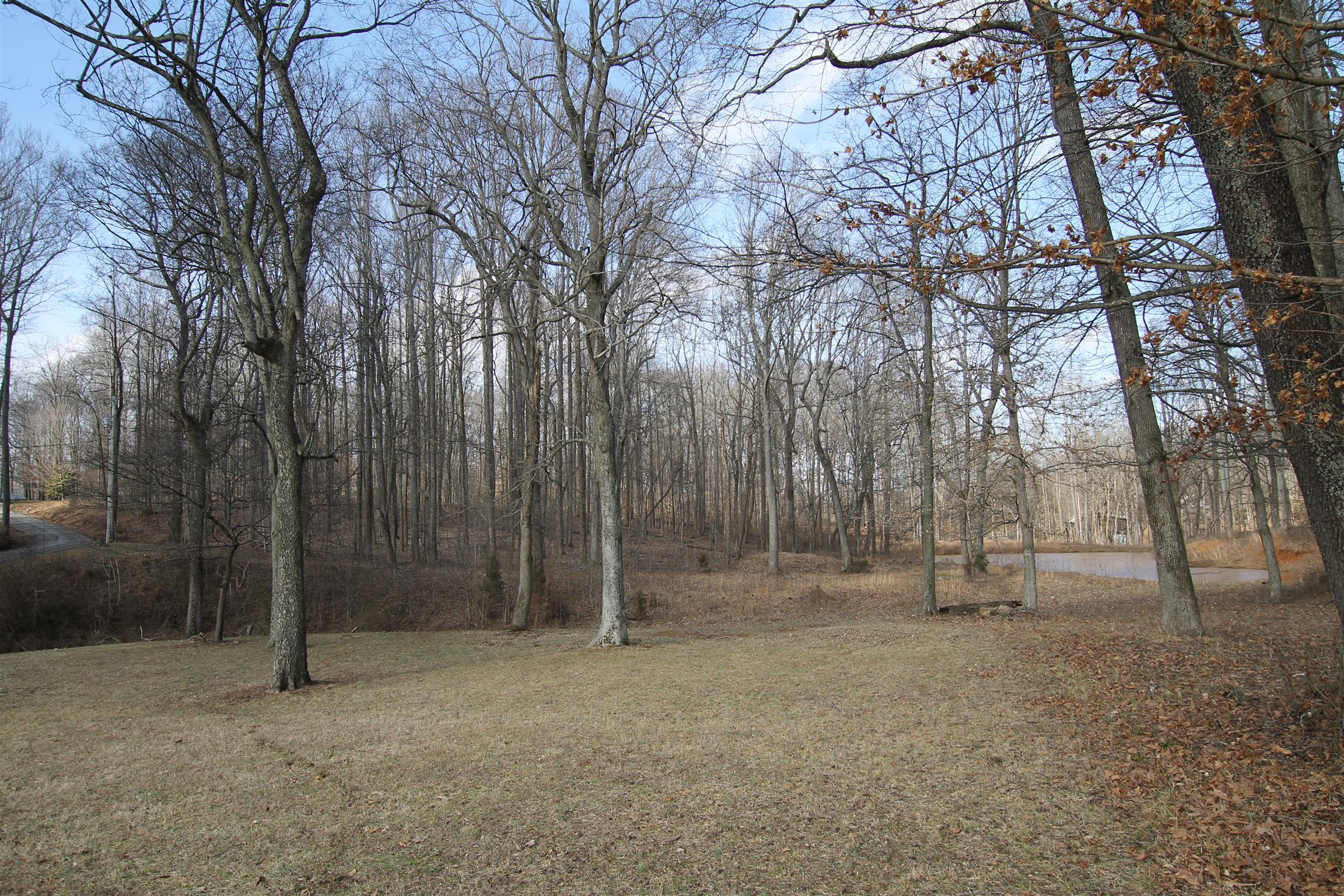 3070 York Road Pleasant View, TN 37146 - Photo 17 of 19 a backyard of a house with lots of green space