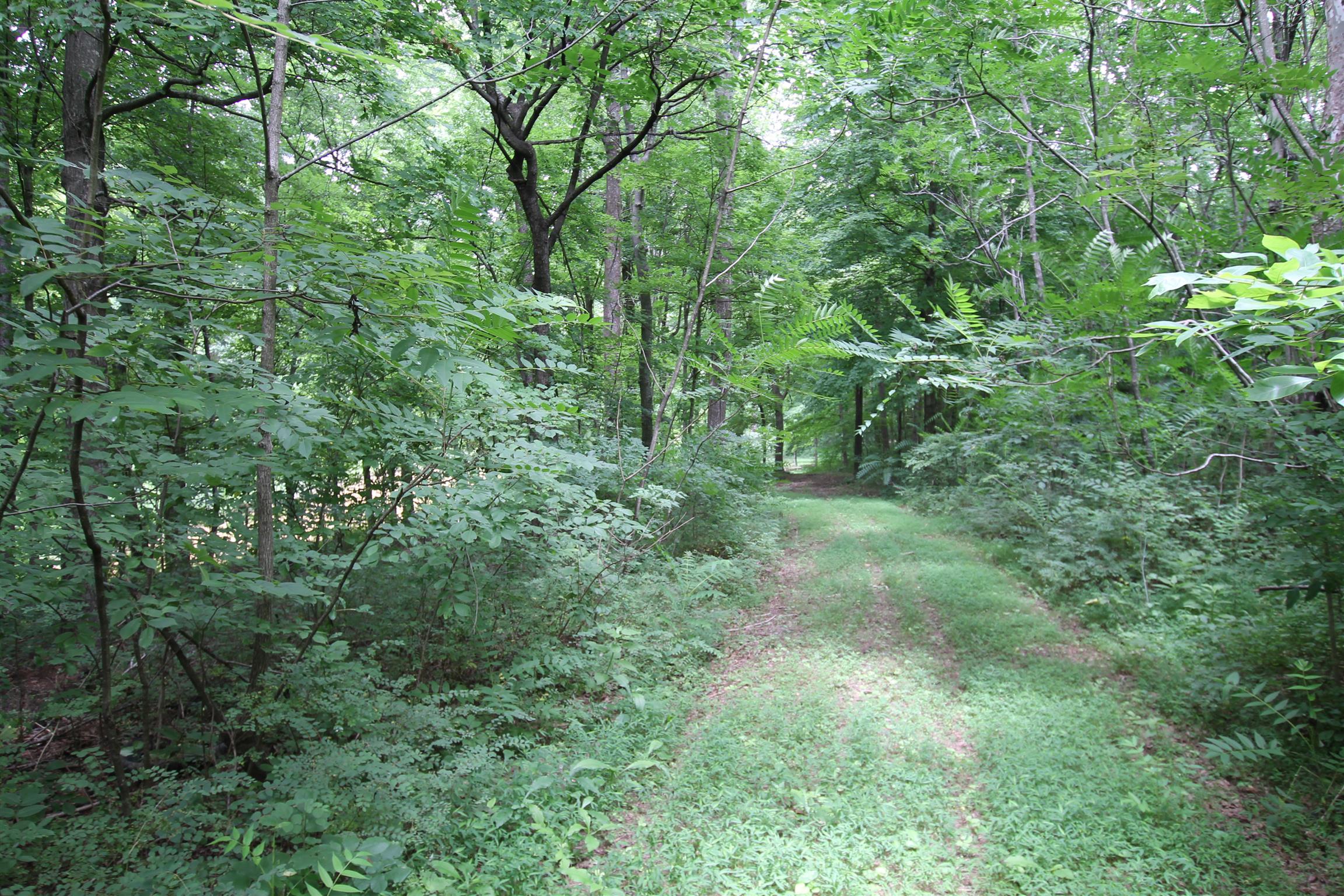 3070 York Road Pleasant View, TN 37146 - Photo 2 of 19 a view of a lush green forest