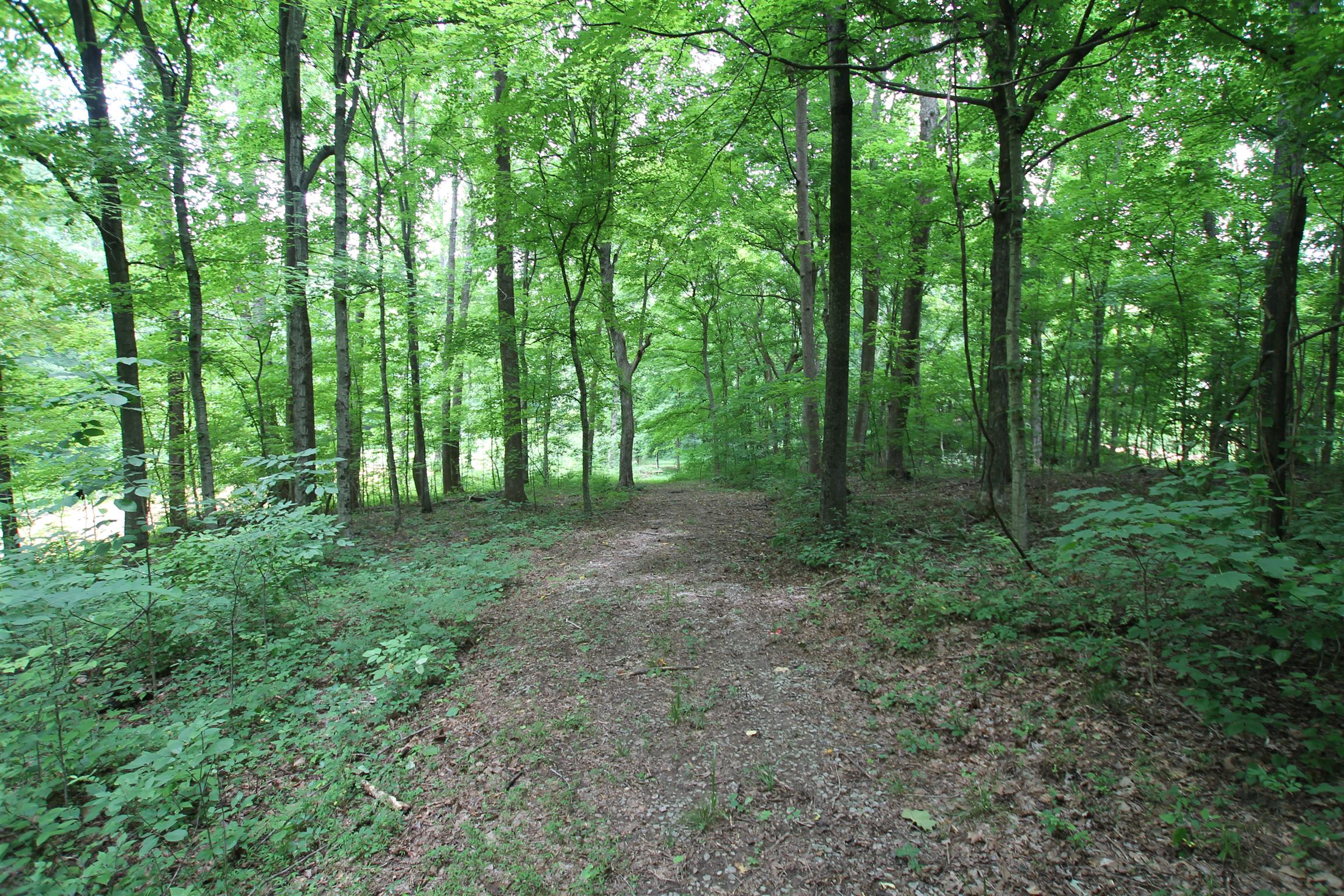 3070 York Road Pleasant View, TN 37146 - Photo 4 of 19 a view of outdoor space and green space