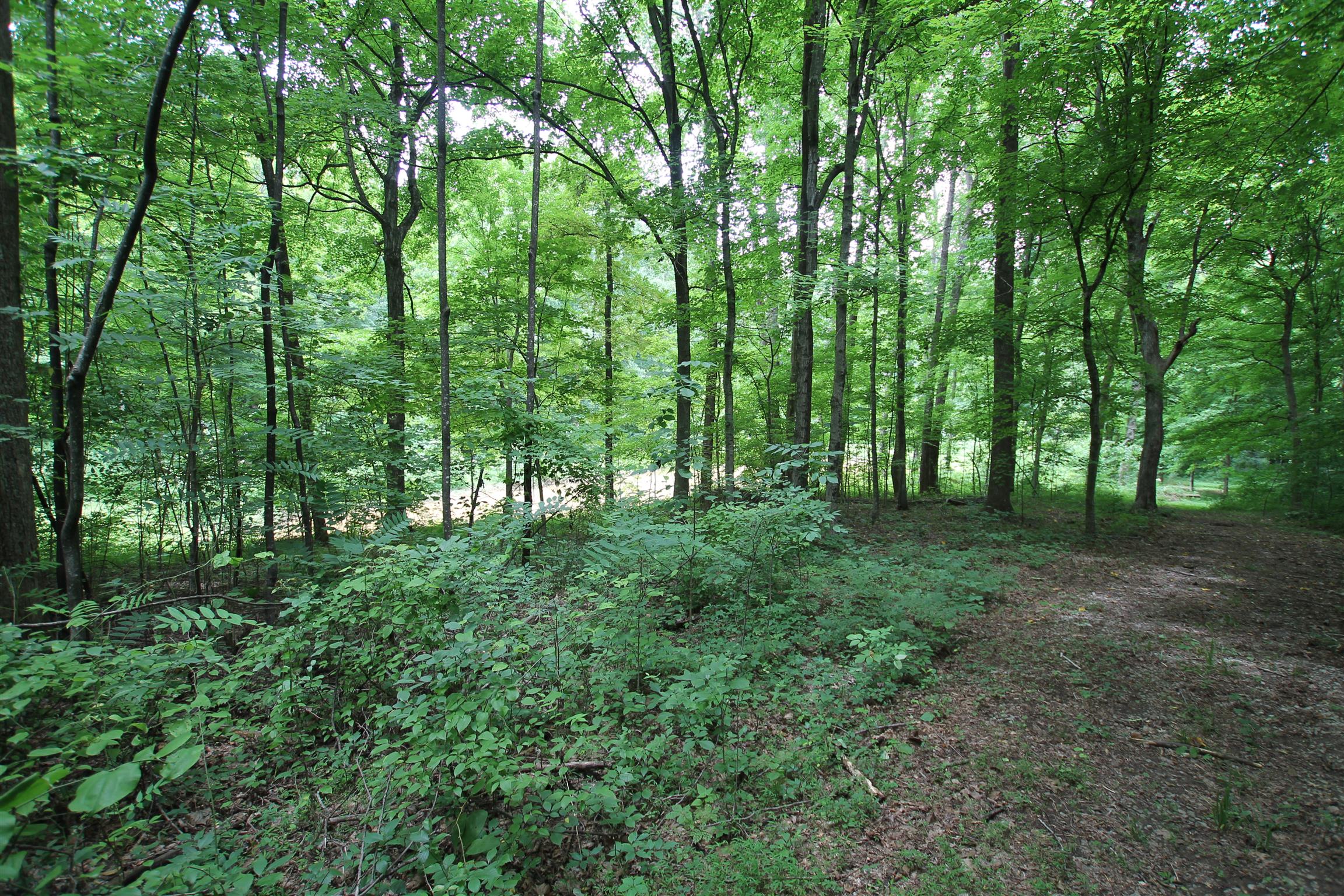 3070 York Road Pleasant View, TN 37146 - Photo 5 of 19 a view of outdoor space and trees
