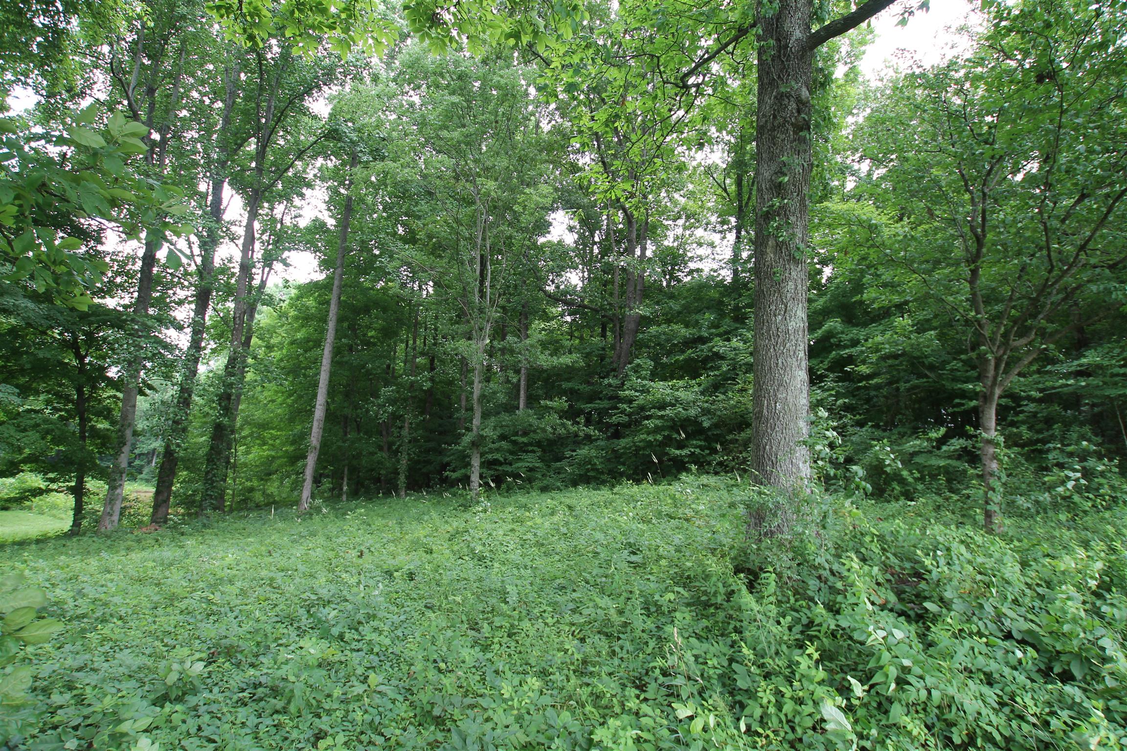 3070 York Road Pleasant View, TN 37146 - Photo 10 of 19 a view of outdoor space and green space