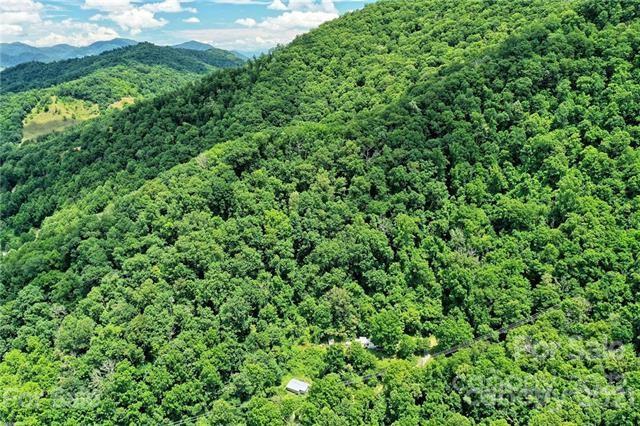 845 Osborne Road Clyde, NC 28721 - Photo 3 of 5 a view of a lush green forest