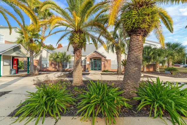 a house with palm tree in front of it