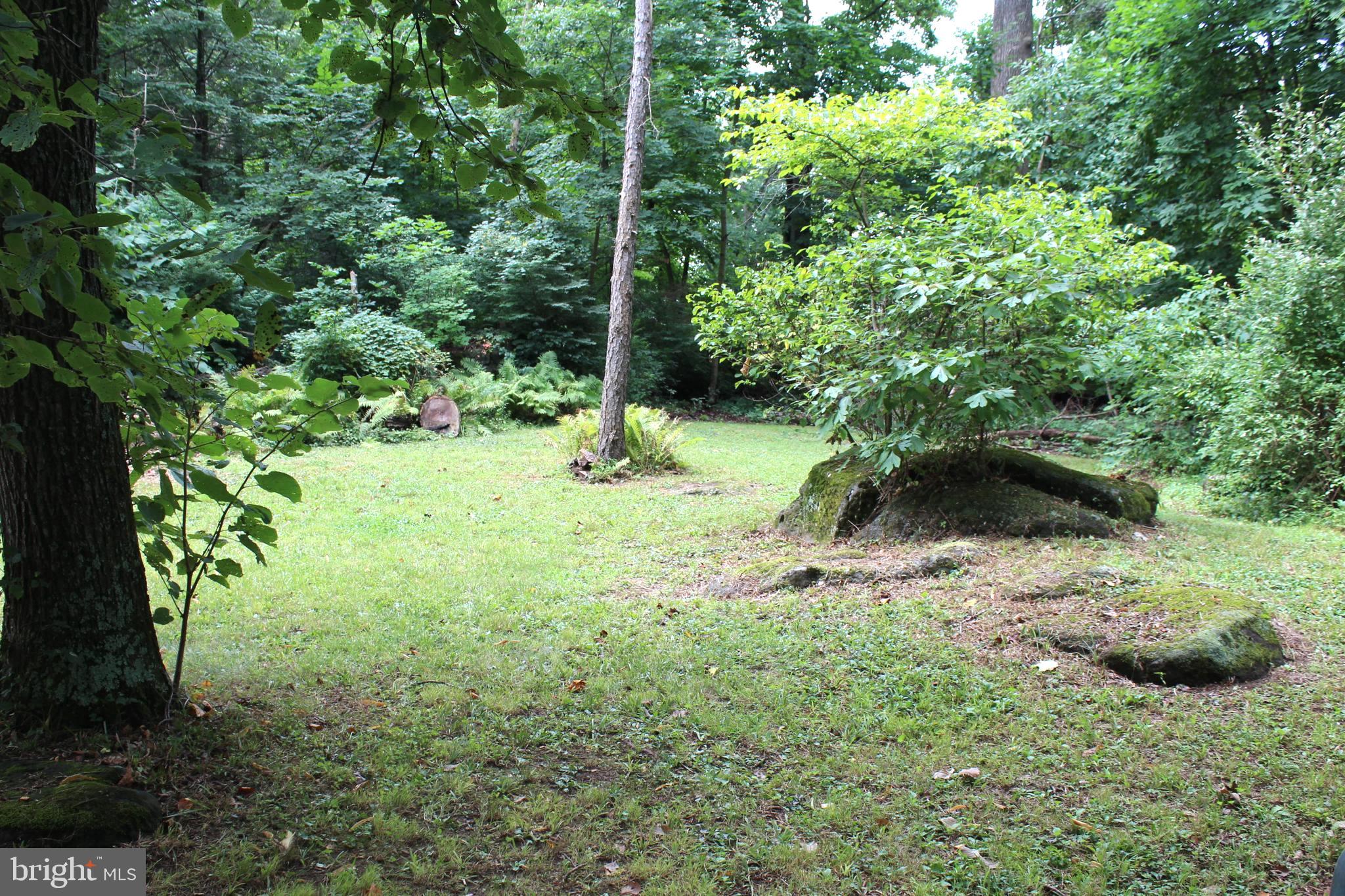 1068 Magazine Road Green Lane, PA 18054 - Photo 17 of 70 GREENERY SURROUNDING BACKYARD