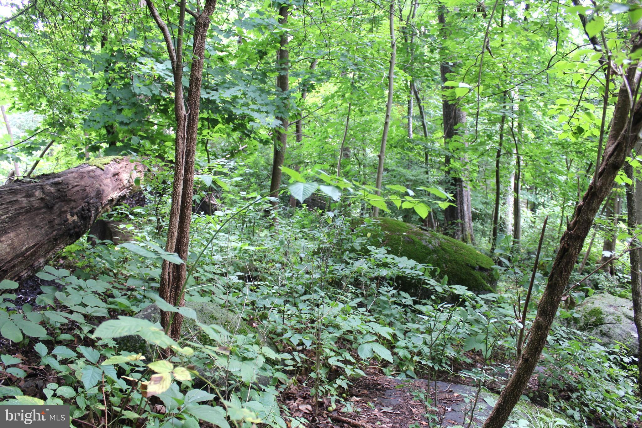 1068 Magazine Road Green Lane, PA 18054 - Photo 23 of 70 ACCESS TO PUBLIC SEWER ON GERRYVILLE PK