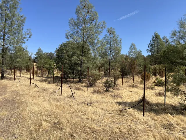 a view of empty yard with wooden fence