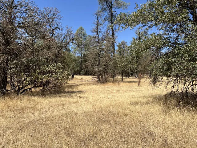 a view of yard covered with snow