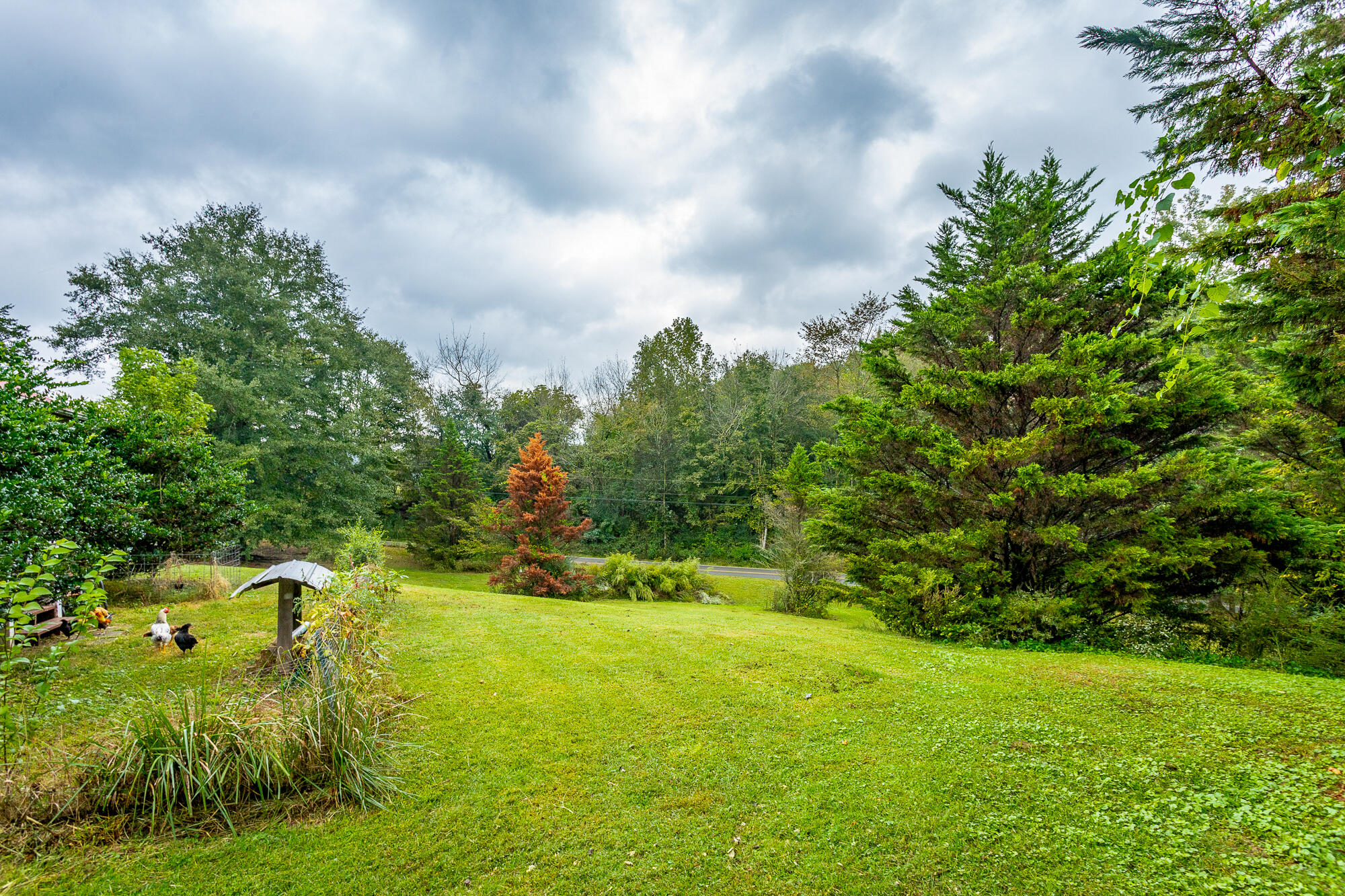 1865 Teague Road Whitwell, TN 37397 - Photo 29 of 38 1865 Teague Road HD-19