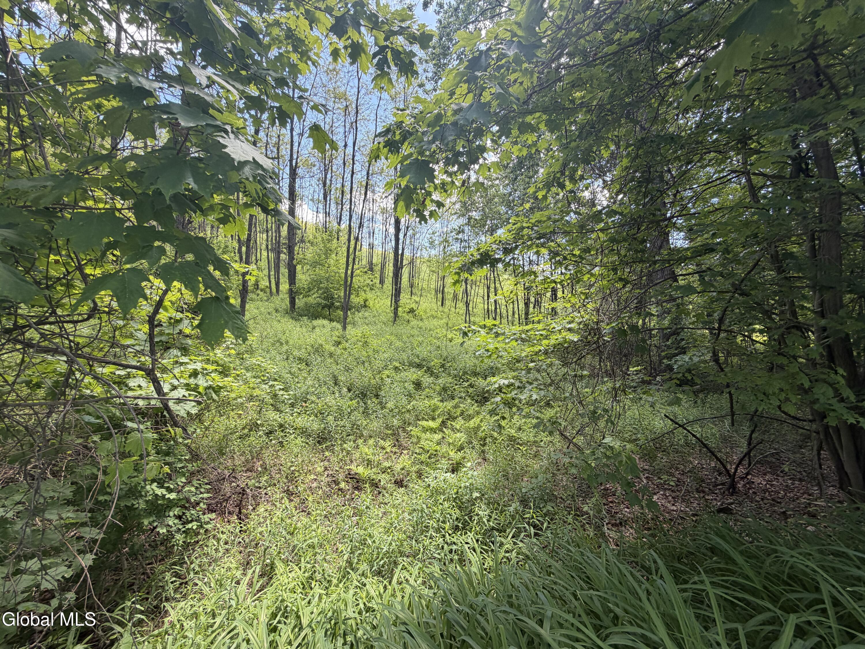 L132.5 Aldous Road Granville, NY 12832 - Photo 13 of 23 4030