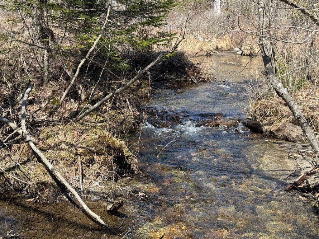 Hill Road Grafton, NH 03240 - Photo 12 of 25 Gallery Image 12