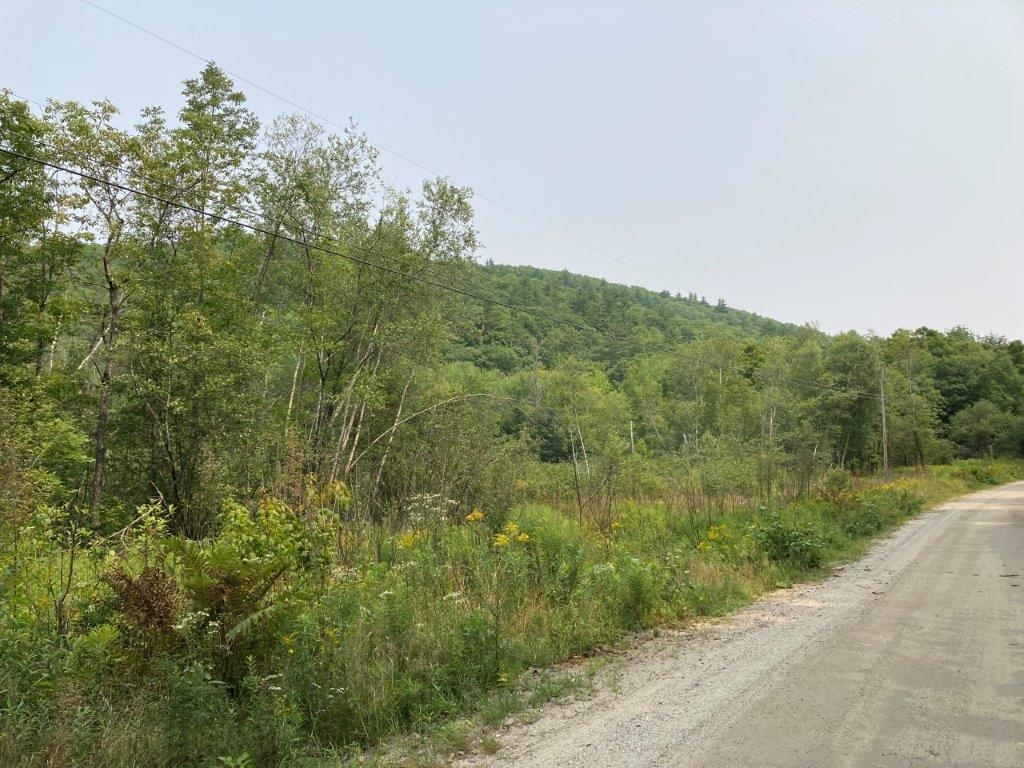 Hill Road Grafton, NH 03240 - Photo 17 of 25 Gallery Image 17