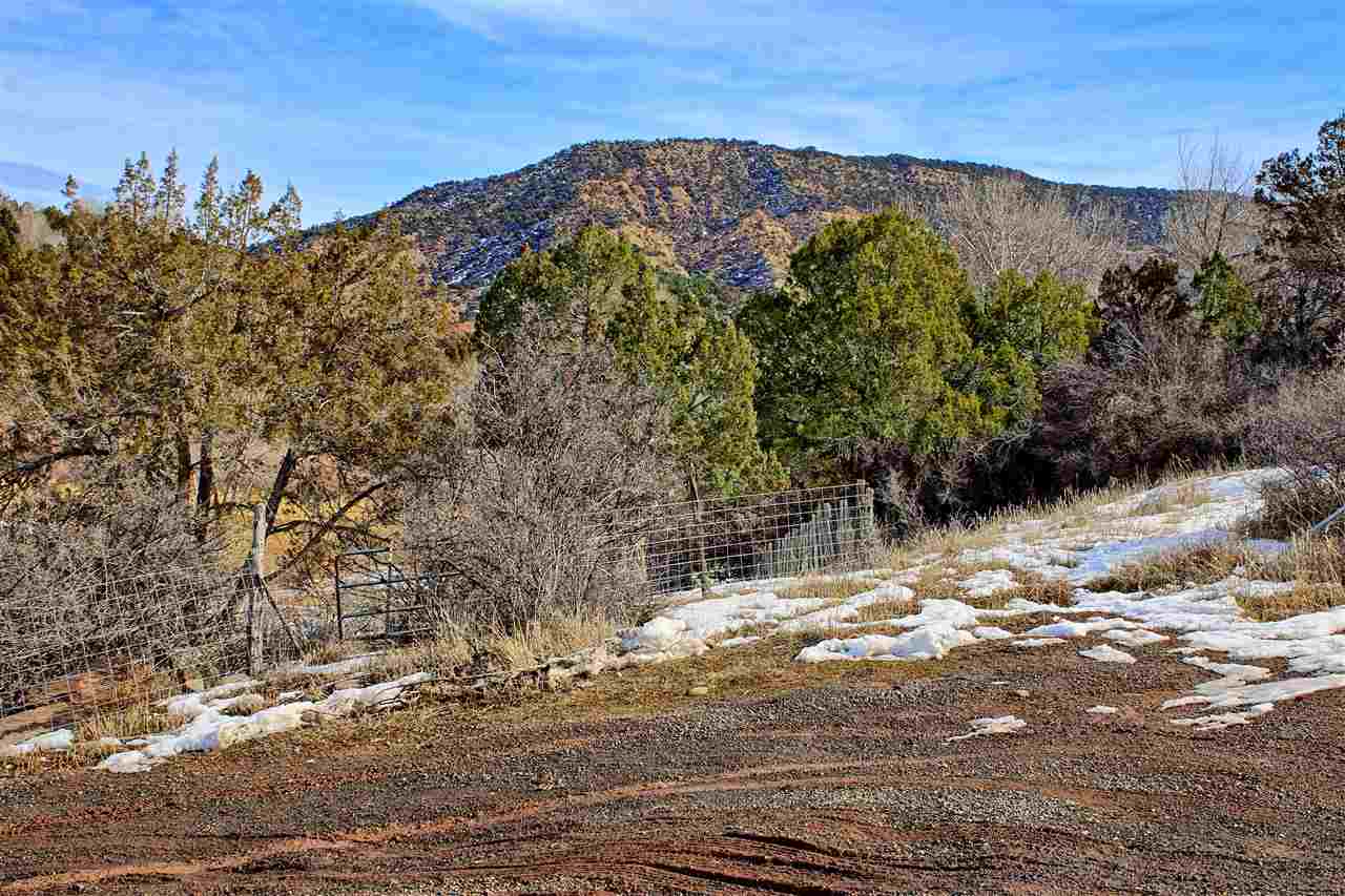 59139 Spring Street Collbran, CO 81624 - Photo 11 of 39 Gallery Image 11