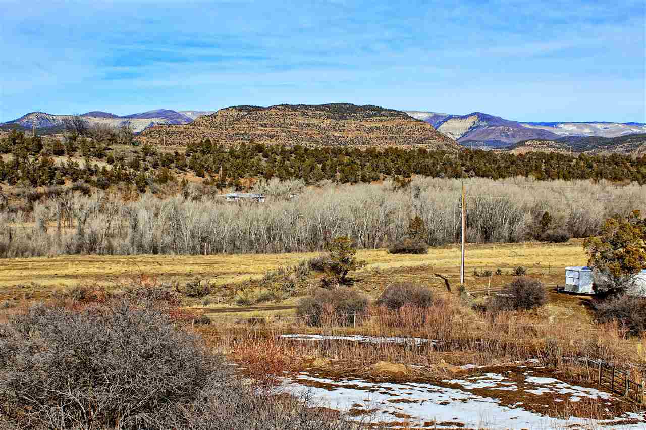 59139 Spring Street Collbran, CO 81624 - Photo 13 of 39 Gallery Image 13