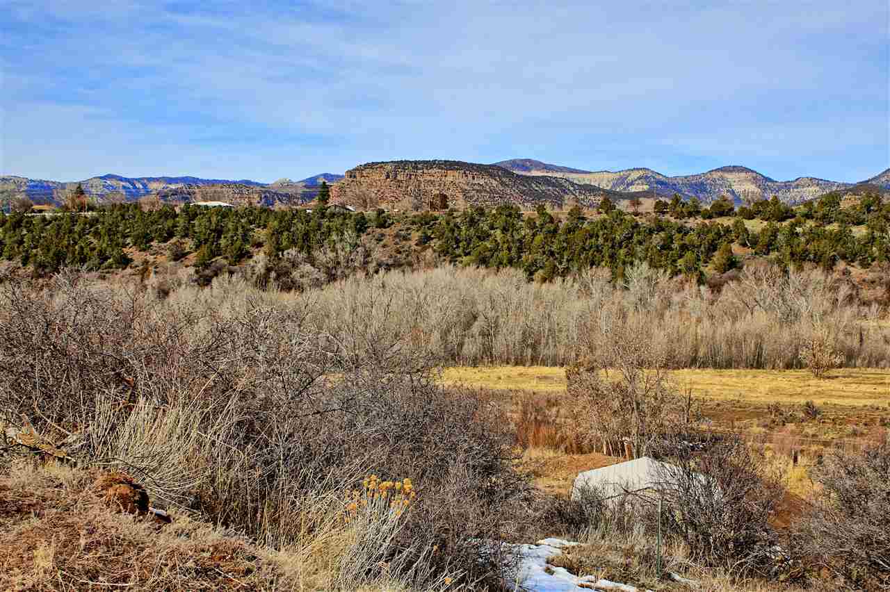 59139 Spring Street Collbran, CO 81624 - Photo 14 of 39 Gallery Image 14
