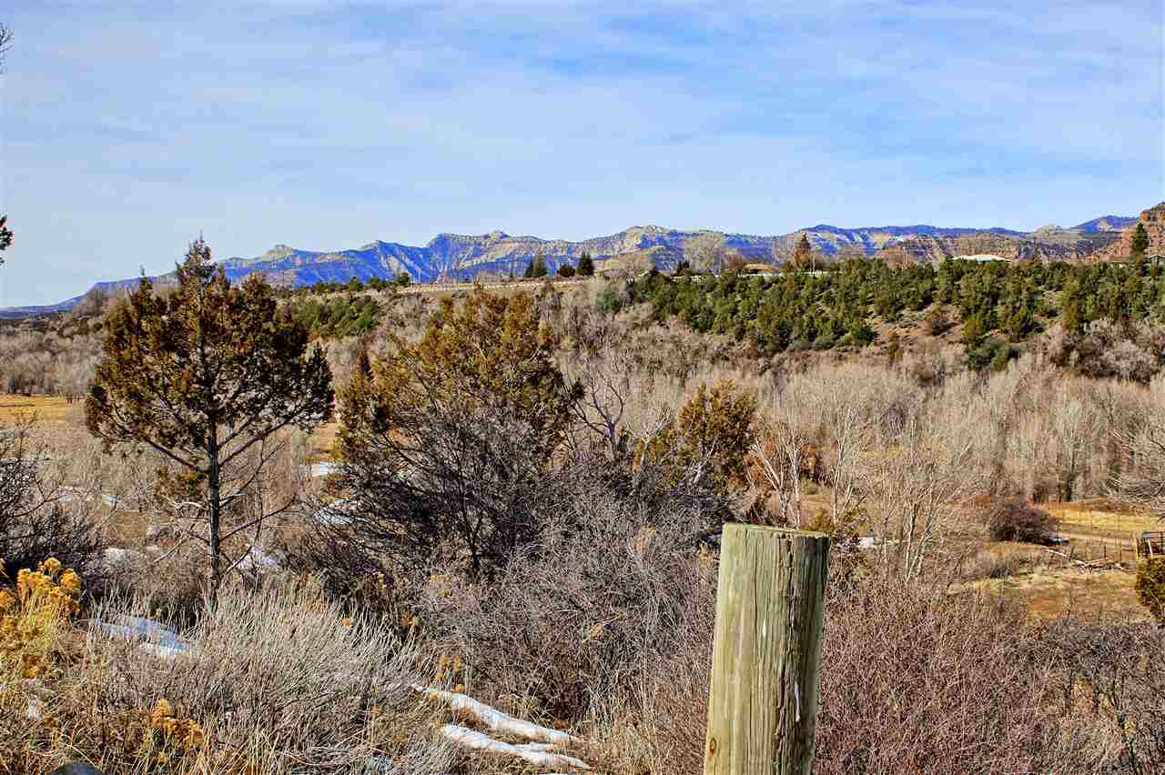 59139 Spring Street Collbran, CO 81624 - Photo 15 of 39 Gallery Image 15