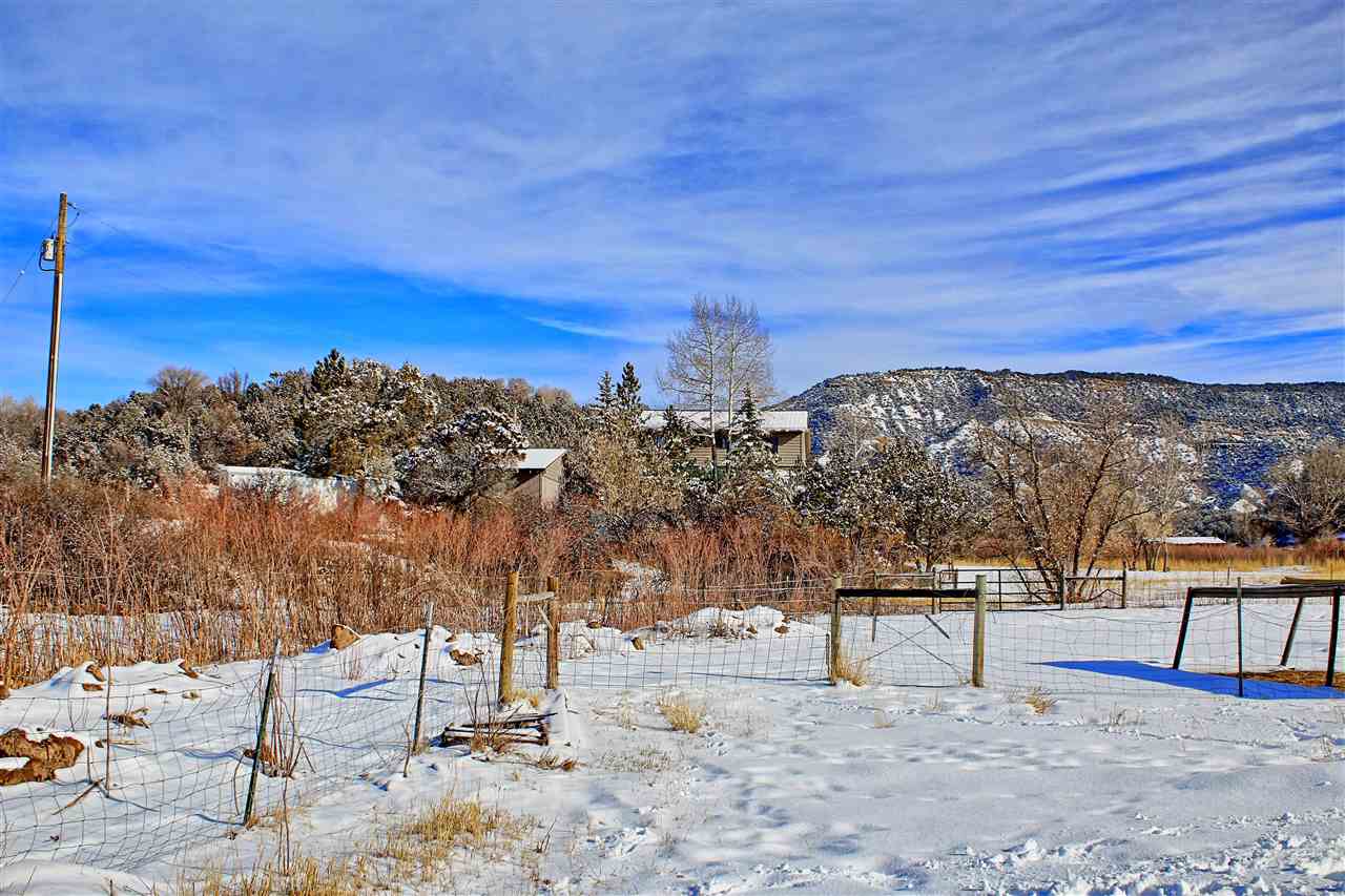 59139 Spring Street Collbran, CO 81624 - Photo 3 of 39 Gallery Image 3