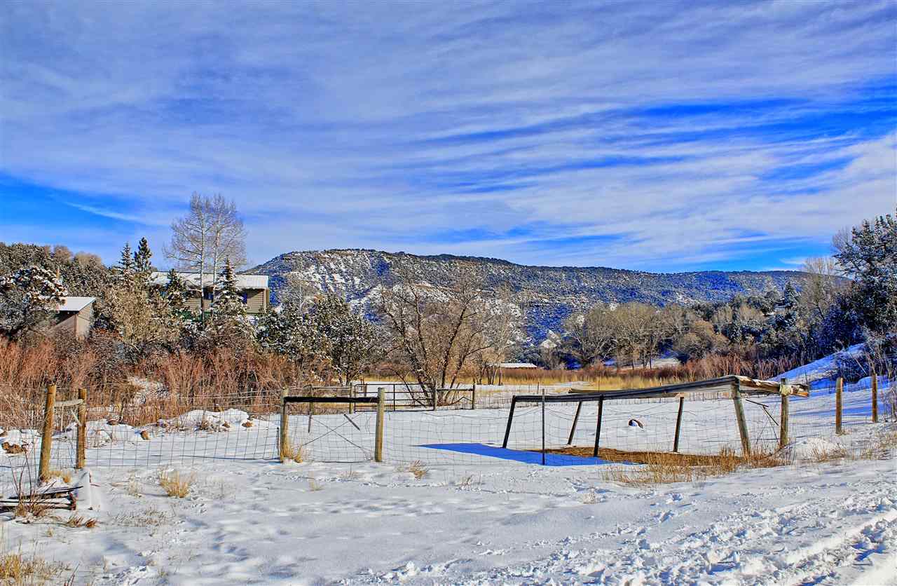 59139 Spring Street Collbran, CO 81624 - Photo 4 of 39 Gallery Image 4