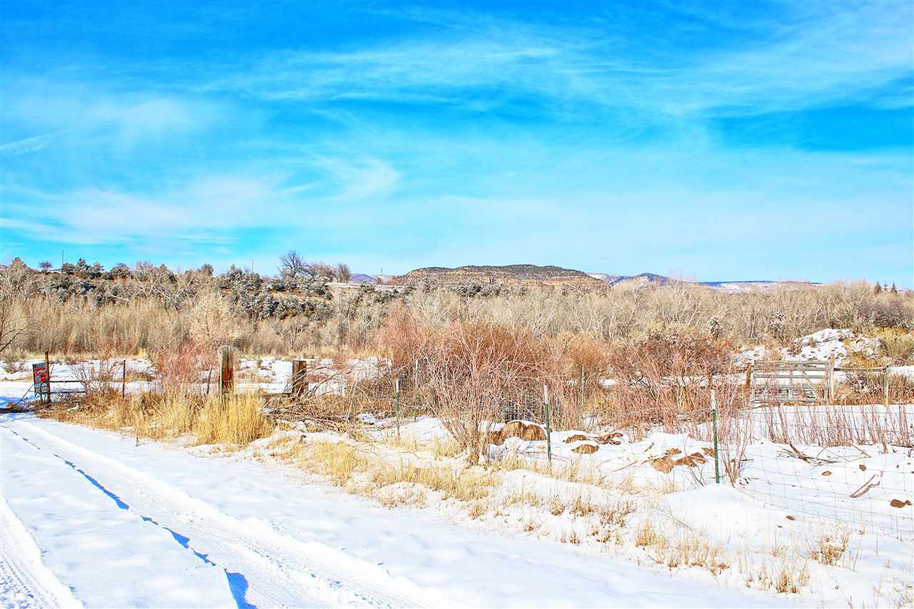 59139 Spring Street Collbran, CO 81624 - Photo 5 of 39 Gallery Image 5